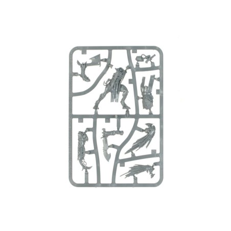 T'au Empire: Mentor Dépeceur Kroot
