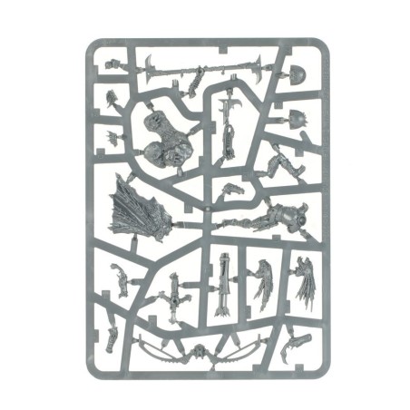 T'au Empire: Mentor de Guerre Kroot