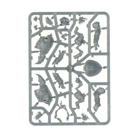 T'au Empire: Cavalier Krootox