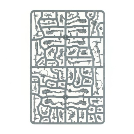 T'au Empire: Carnivores Kroots