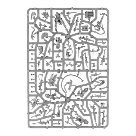 Collection Maison Escher