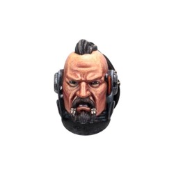 Space Wolves Fw: MKVI Heads