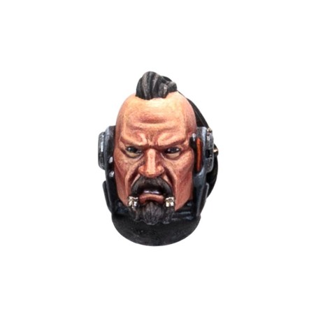 Space Wolves Fw: MKVI Heads