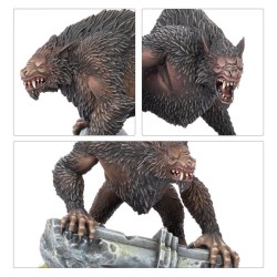 Lord of The Rings Fw: Werewolves of Angmar