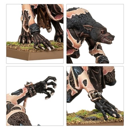 The Old World Guerriers du Chaos: Loups Ecorcheurs