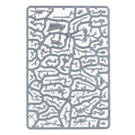 Kill team: Corsaires Néantis