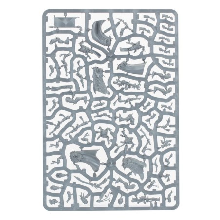 Kill team: Corsaires Néantis