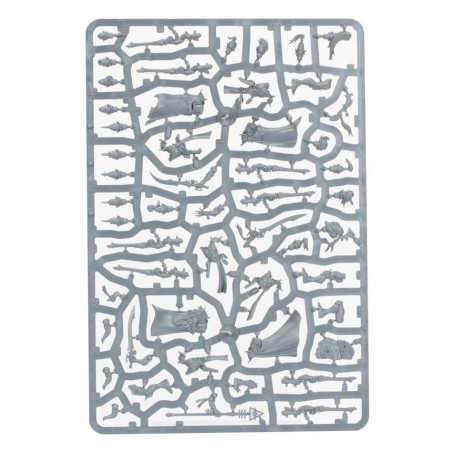 Kill team: Corsaires Néantis