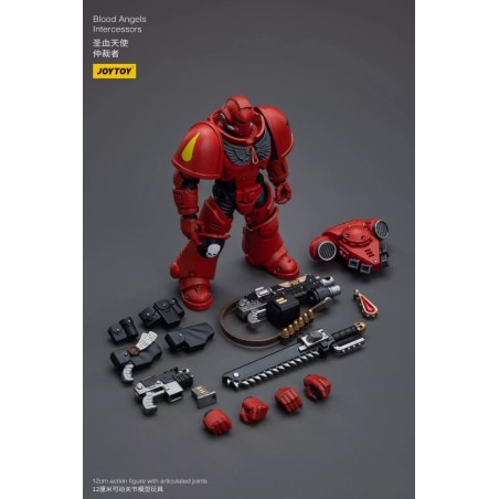 Action Figure: Blood Angels Intercessors
