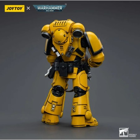 Action Figure: Imperial Fists Intercessors