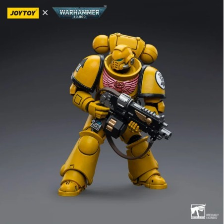 Action Figure: Imperial Fists Intercessors