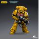 Action Figure: Imperial Fists Intercessors