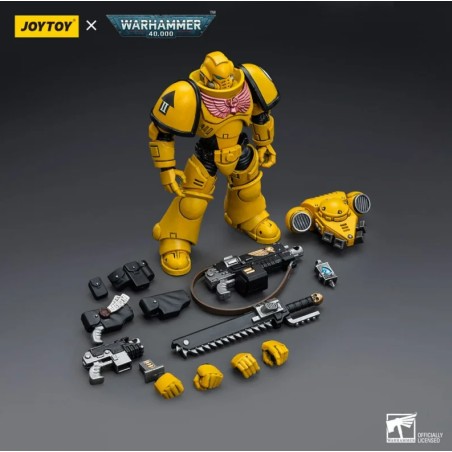 Action Figure: Imperial Fists Intercessors