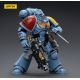 Action Figure: Space Wolves Intercessors