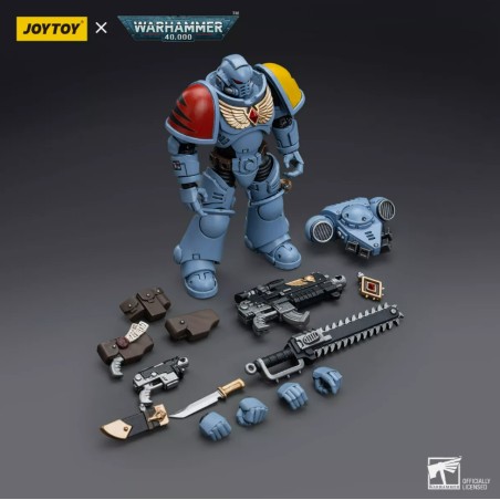 Action Figure: Space Wolves Intercessors
