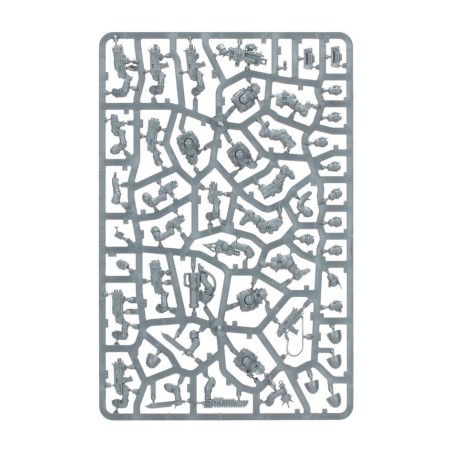 Kill Team: Escouade de Scout