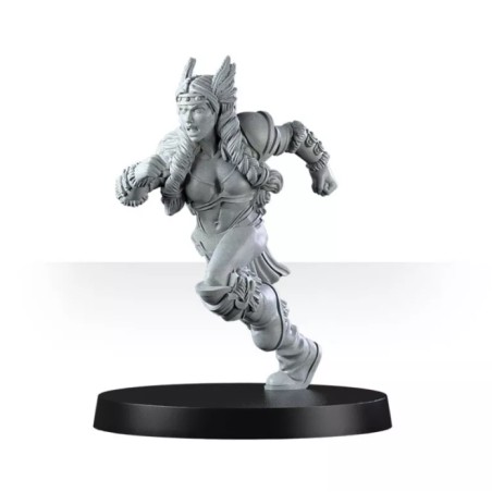 Mountain Alliance Team