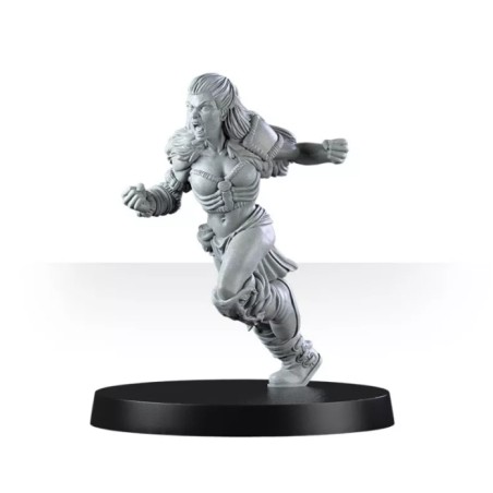 Mountain Alliance Team