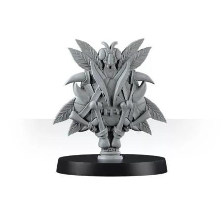 Mountain Alliance Team