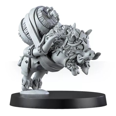 Mountain Alliance Team