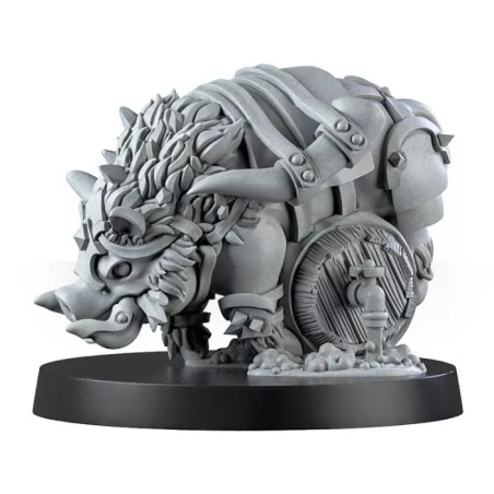 Mountain Alliance Team