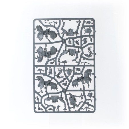 Cities of Sigmar: Battleforce Incursion Fondatrice