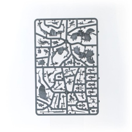 Cities of Sigmar: Battleforce Incursion Fondatrice