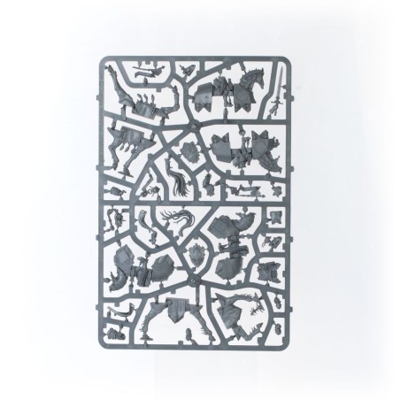 Cities of Sigmar: Battleforce Incursion Fondatrice