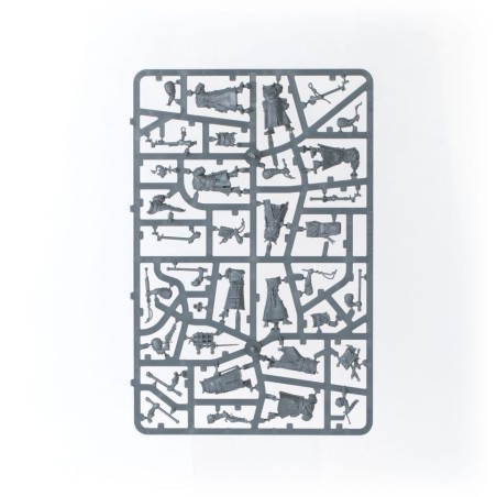 Cities of Sigmar: Battleforce Incursion Fondatrice