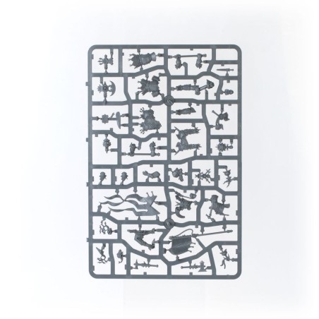 Cities of Sigmar: Battleforce Incursion Fondatrice