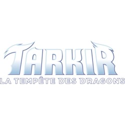 Tempête des Dragons: Commander Armure des Abzans