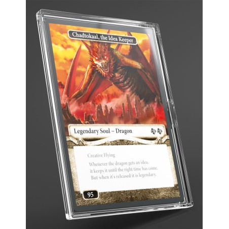 Pochettes: Slide Card Cases