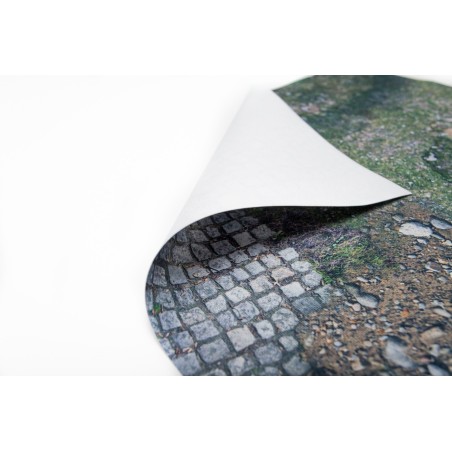 Tapis de Jeu: Treasure Land / Grassland