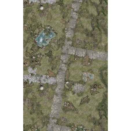 Tapis de Jeu: Treasure Land / Grassland