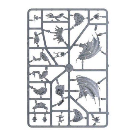 Soulblight Gravelords: Fer de Lance Chasse Sanguivore