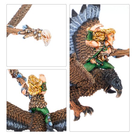 The Old World Elfes Sylvain: Mage on a Warhawk