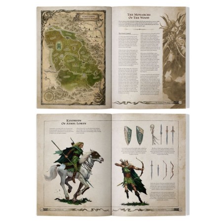 The Old World Elfes Sylvain: Journal Arcaniques