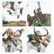 The Old World Elfes Sylvain: Glade Riders (12 Figurines)