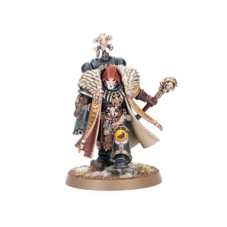 Space Wolves: Set d'Armée Collector (28 Figurines)
