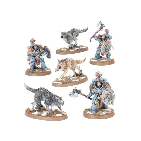 Space Wolves: Set d'Armée Collector (28 Figurines)