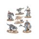 Space Wolves: Set d'Armée Collector (28 Figurines)