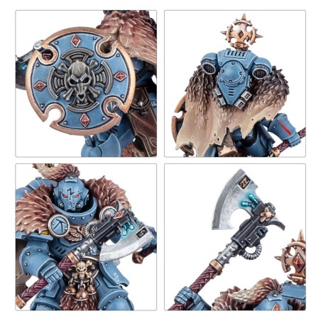 Space Wolves: Set d'Armée Collector (28 Figurines)