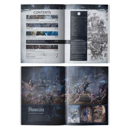 Space Wolves: Set d'Armée Collector (28 Figurines)