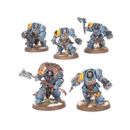 Space Wolves: Terminators Gardes Loups (x5)