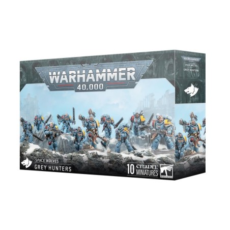Space Wolves: Chasseurs Gris (x10)
