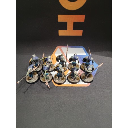 Occasion: 10x Guttripaz