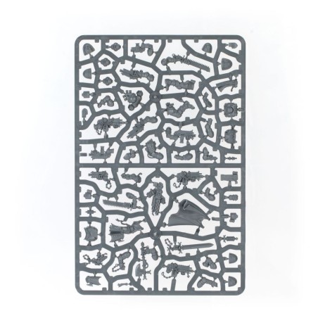 Black-Templars-Patrouille