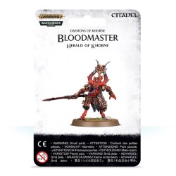 Chaos Deamons: Bloodmaster, Herald of Khorne