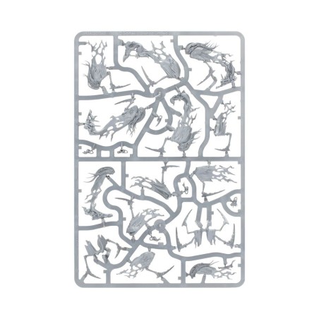 Nighthaunt-Avant-Garde-Bagnehorde-Maudite