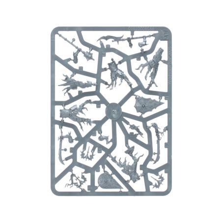 Soulblight Gravelords: Fer de Lance Ost de Tombes de Raclemorts (x36 Figurines)